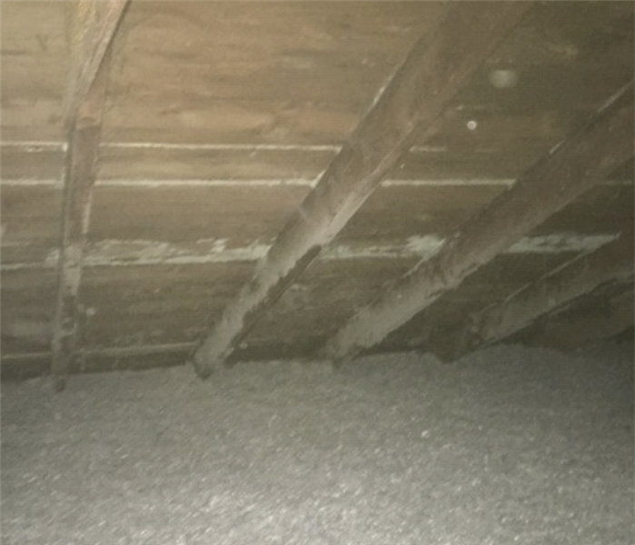 the inside of an attic with white discoloration on the wooden planks