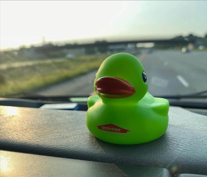 Green SERVPRO duck on dashboard.
