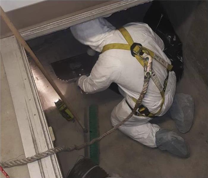 Technician wearing protective gear while checking for mold in a crawlspace