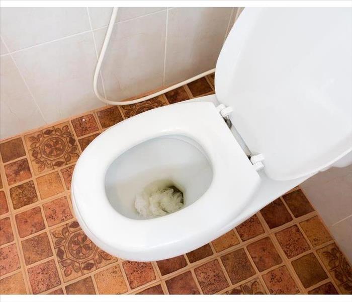 How To Handle an Overflowing Toilet | SERVPRO of Boston Downtown / Back My Toilet Overflowed And Now My Carpet Smells
