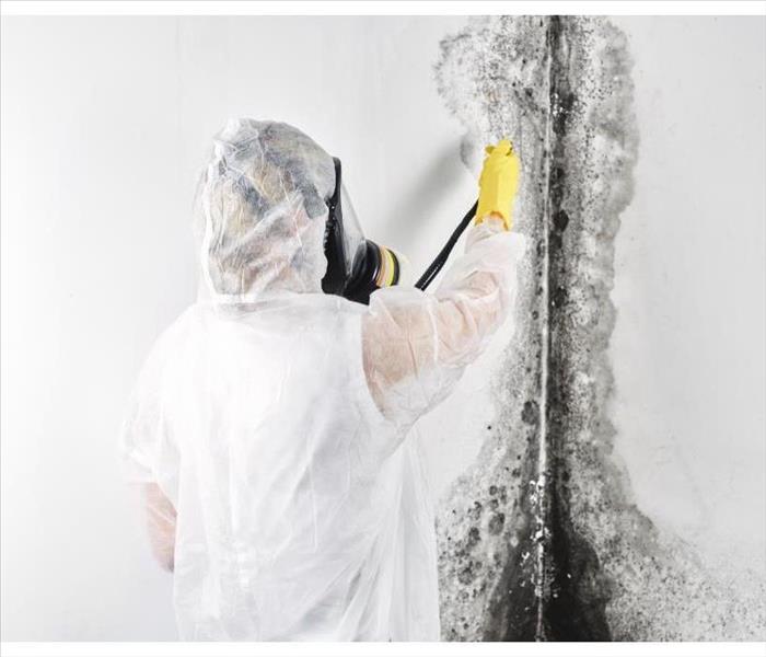 A professional disinfector in overalls processes the walls from mold. Removal of black fungus in the apartment and house. 