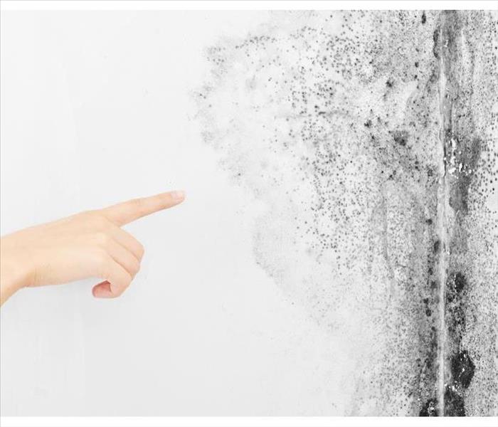 Hand pointing at a wall with mildew